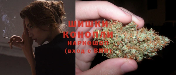 гидра Армянск