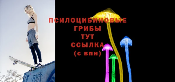 гашик Аркадак