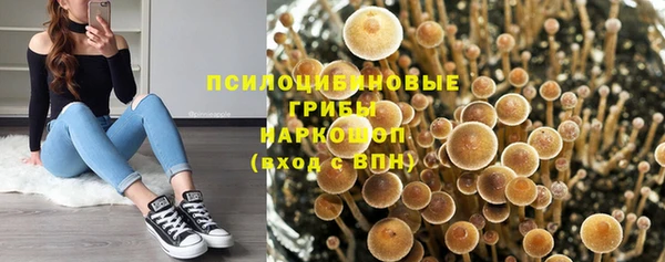 гашик Аркадак