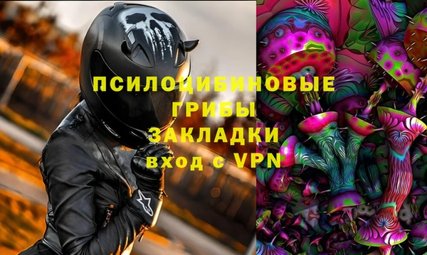 гашик Аркадак