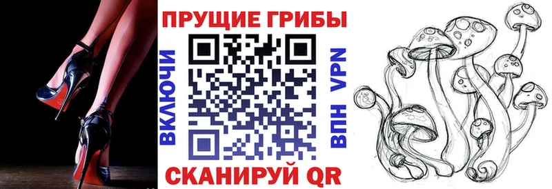 Псилоцибиновые грибы GOLDEN TEACHER  площадка Telegram  Бабушкин 